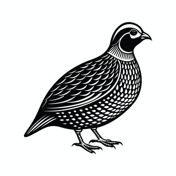 black and white quail bird profile clip art preview