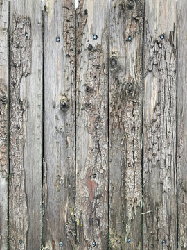pared muro de madera separador con textura casa caba&ntilde;a granja IMG_9054-as25