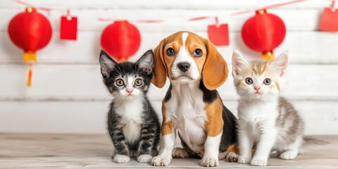 Obraz premium A playful beagle puppy sits between two adorable kittens, set against a festive backdrop with red lanterns.