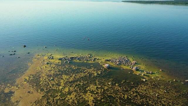 People row canoes on the lake .Aerial 4K video from drone .Estonia, Paldiski. (Series)