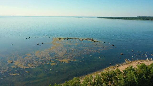 People row canoes on the lake .Aerial 4K video from drone .Estonia, Paldiski. (Series)