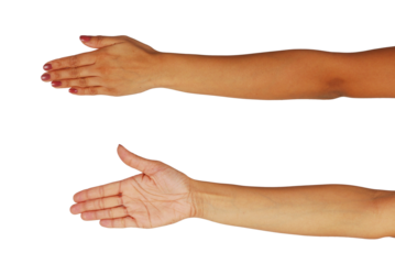 Woman Hands, woman hands front and back,  hand cutout on transparent background, cutout for advertising, medical health care publications