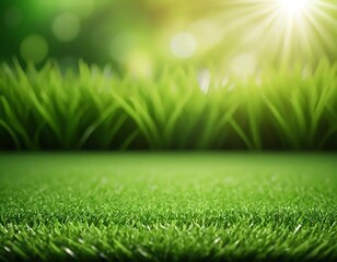 Fototapeta premium Lush Green Grass Under Bright Sunlight