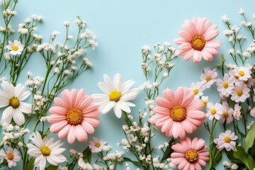 Fototapeta premium Pink and white daisies and gypsophila creating a floral frame on light blue background