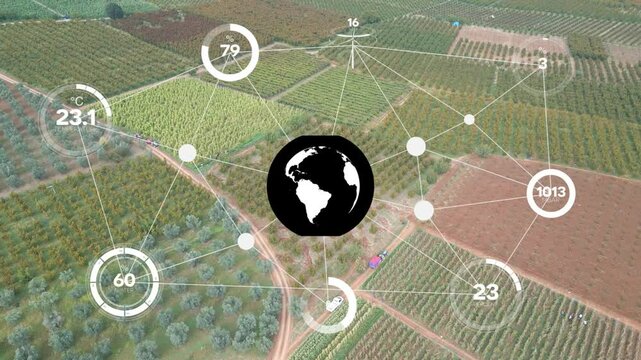 Smart digital agriculture technology by futuristic sensor data collection management by artificial intelligence to control quality of crop growth and harvest. Computer aided plantation grow concept.