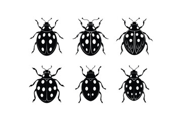 "Set of Silhouette Ladybug Vector Illustration"

