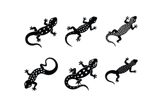 "Set of Silhouette Leopard Gecko Vector Illustration"

