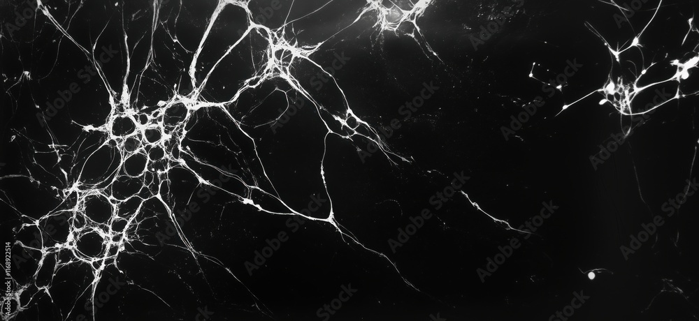Poster abstract black and white image showcasing intricate spider web-like structures resembling neural net
