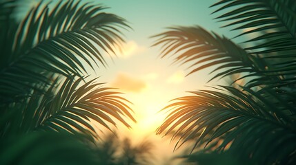 Tropical sunset viewed through palm fronds.