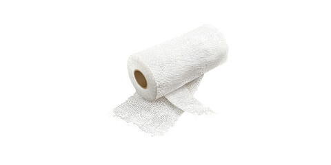 Fototapeta premium Single Roll Of White Paper Towel Isolated On Transparent Background