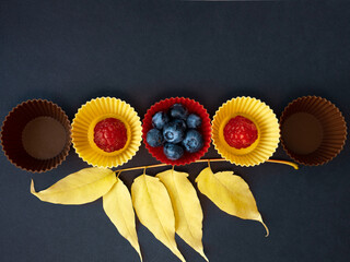 Blueberries and raspberries in small colorful silicone baking cups on black background. Summer and autumn seasonal healthy cooking concept