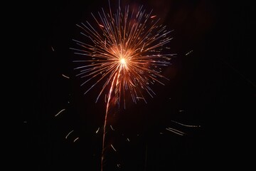Obraz premium colorful celebrated fireworks bloom on dark sky in night
