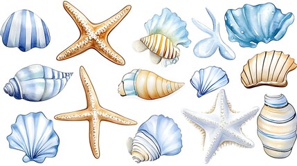 Watercolor Seashells   Starfish  Beach Summer Ocean Clipart
