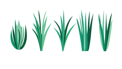 Spring green grass isolated | Set of flat grass elements | Green grass | Meadow border | Flat design