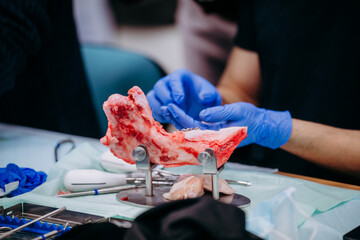 Studenci stomatologii ćwiczą na szczęce prosiaka © rozentuzjazmowany