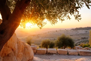 The Kidron Valley as seen from the Mount of Olives, with ancient tombs and a picturesque landscape