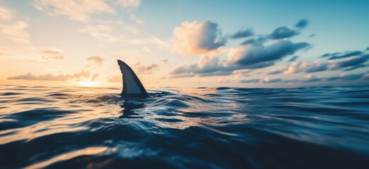 Fototapeta premium Shark fin emerging from ocean at sunset, tranquil waters reflecting colorful clouds, serene yet powerful marine scene, copy space for text
