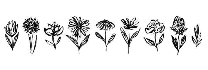 Set of artistic hand drawn black ink daisy rose or peony flowers and leaves. Linear sketch drawing vector daisy floral textured elements for pattern design, greeting cards, logo, tattoo, sticker © Tatahnka