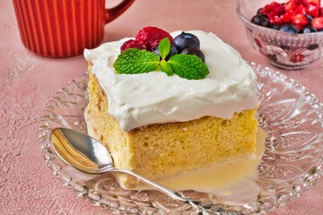 メキシコのスイーツ パステル・デ・トレス・レチェス(3種のミルクのケーキ)  Mexican sweets Pastel de Tres Leches( Mexican Tres Leches Cake,Tres Leches Cake,Three Milk Cake, 3 Milk Cake) 