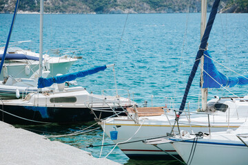 Fototapeta premium Group of sailboats are docked in the water