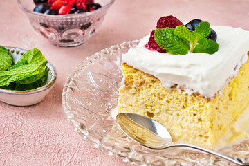 メキシコのスイーツ パステル・デ・トレス・レチェス (3種のミルクのケーキ) コピースペースあり Mexican sweets Pastel de Tres Leches( Mexican Tres Leches Cake,Tres Leches Cake,Three Milk Cake, 3 Milk Cake) with copy space