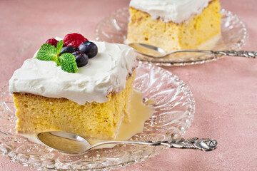 メキシコのスイーツ パステル・デ・トレス・レチェス (3種のミルクのケーキ) コピースペースあり Mexican sweets Pastel de Tres Leches( Mexican Tres Leches Cake,Tres Leches Cake,Three Milk Cake, 3 Milk Cake) with copy space