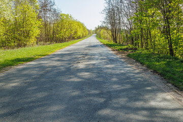 Empty asphalt road surrounded by green trees and grass under clear blue sky. Nature landscape...