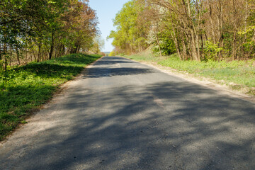 Empty asphalt road surrounded by green trees and grass under clear blue sky. Nature landscape photography. Nature and travel concept.