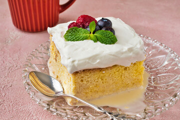 メキシコのスイーツ パステル・デ・トレス・レチェス (3種のミルクのケーキ) コピースペースあり Mexican sweets Pastel de Tres Leches( Mexican Tres Leches Cake,Tres Leches Cake,Three Milk Cake, 3 Milk Cake) with copy space