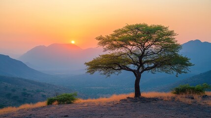 Fototapeta premium Solitary tree silhouetted against a vibrant sunset over rolling hills and mountains.
