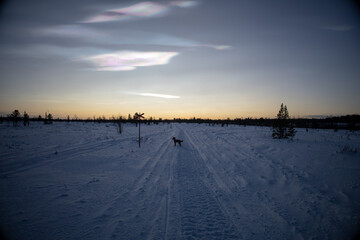 Polar stratospheric cloud, also known as nacreous clouds from nacre, or mother of pearl, due to its...