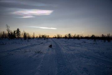 Polar stratospheric cloud, also known as nacreous clouds from nacre, or mother of pearl, due to its...