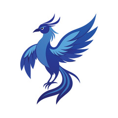 Obraz premium Blue birds of paradise remarkable and extravagant vector silhouette illustration. 