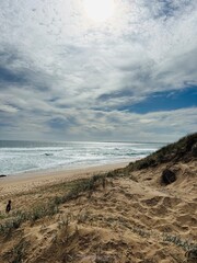 view of the beach and ocean 
