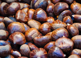 Seasonal Delights: Chestnuts at Oporto's Mercado Bolhão