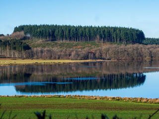 Fototapeta premium Magical Pine Forest Reflected on the Lake - Saint Agnan, Morvan (Little Canada)