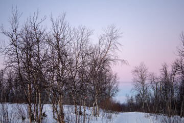 Winter wonderland in Swedish Lapland. Winter landscape from Kiruna, Luossuvaara area.