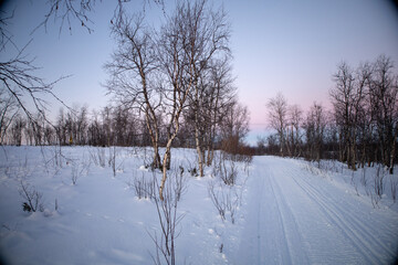 Winter wonderland in Swedish Lapland. Winter landscape from Kiruna, Luossuvaara area.