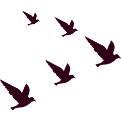 Flock of Birds Flying