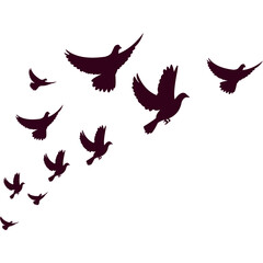 Flock of Birds Flying