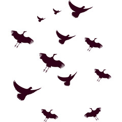 Fototapeta premium Flock of Birds Flying