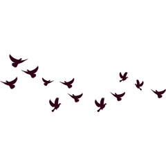 Flock of Birds Flying