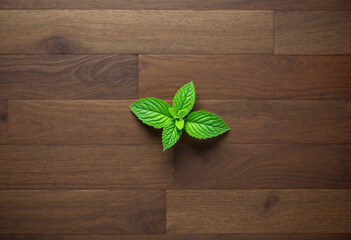 Top view a fresh bright mint leaves on the wood background