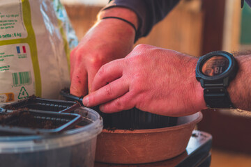 A close-up of male hands planting seeds and tending to sprouts while gardening