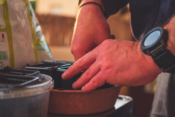 A close-up of male hands planting seeds and tending to sprouts while gardening