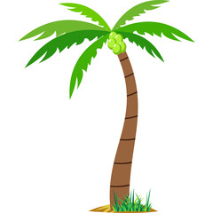 Coconut Tree Illustration
