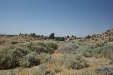 californian desert