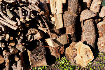 Firewood: natural and sustainable energy for home heat.