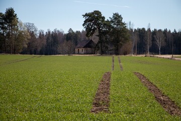 landscape with a tree and house in the field