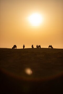 Khongor Sand Dunes in the Gobi Desert of Mongolia. Vast golden sand dunes stretching across the desert landscape, surrounded by mountains and showcasing the unique beauty of one of Mongolia&rsquo;s most ico